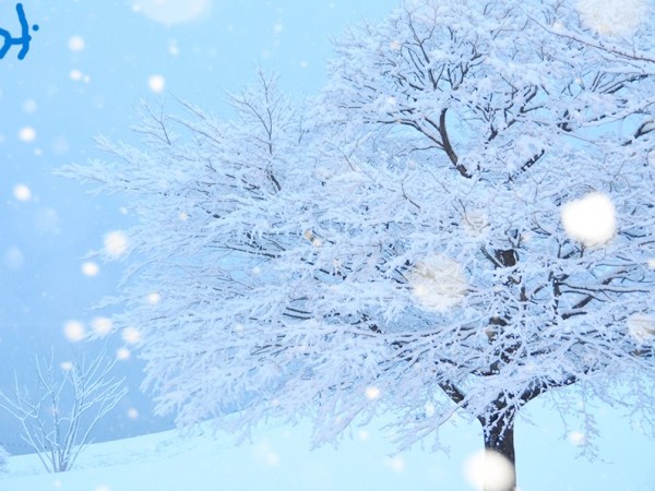 【娯楽・動画類】「うっちゃり」と「どんでん返し」の着地点